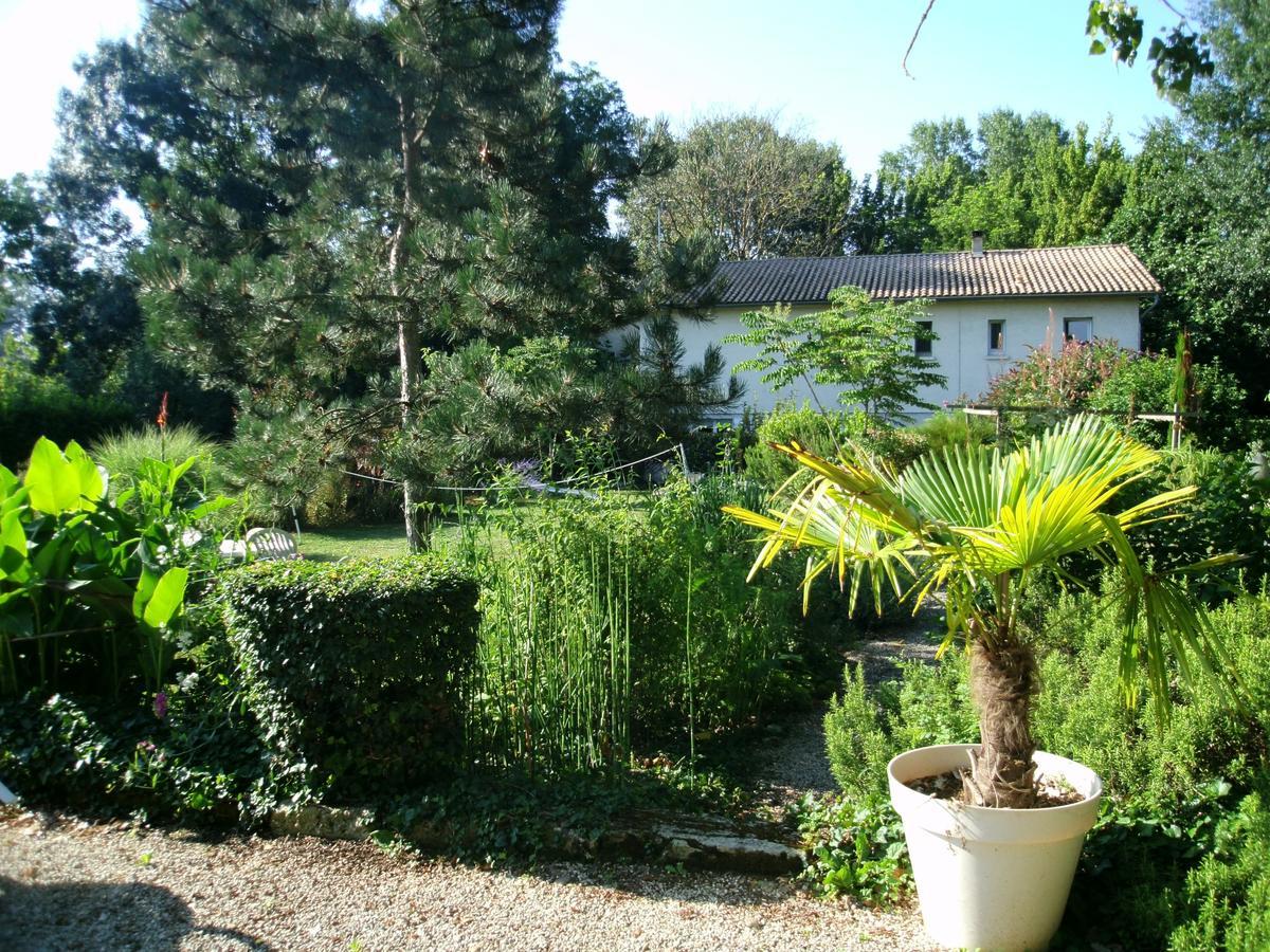 Bed and Breakfast Le Bord De L'Eau Sainte-Terre Екстер'єр фото