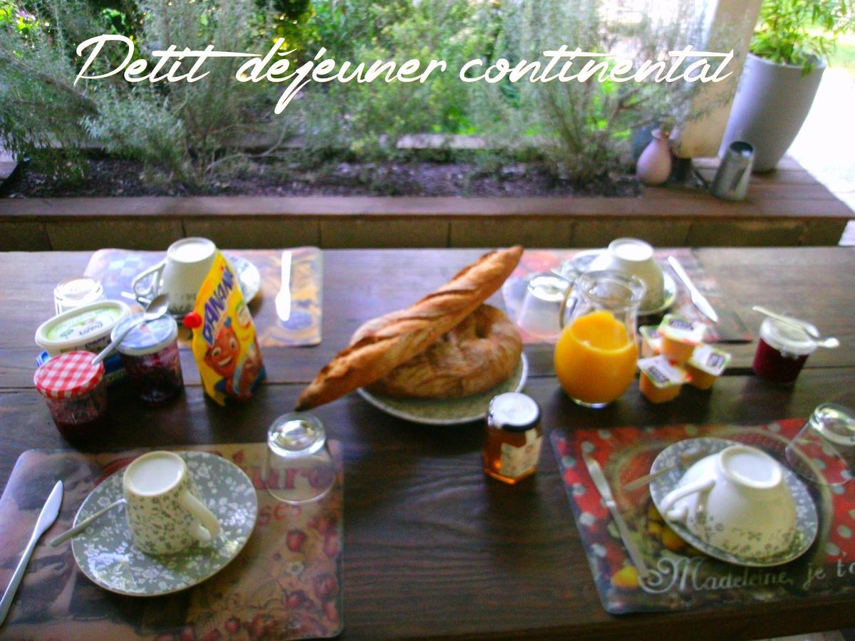 Bed and Breakfast Le Bord De L'Eau Sainte-Terre Екстер'єр фото